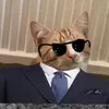 thegingertricks