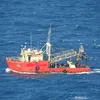 oskarsea