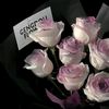 aseel.ahmed307