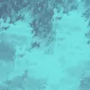 alex_wscvua
