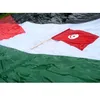 ahmed.yasin16