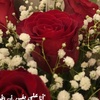 taif_almejna