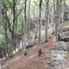 enimrac96