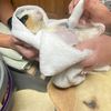 butterynubs