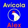 avicola_alex