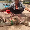 thanhtamtruong608