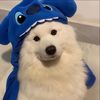 shymoon001
