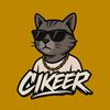 cikeer313