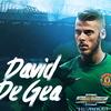 long.degea