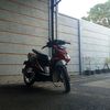 rendii7604