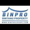 Binpro Bintang Property