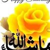 dy8rxuj9aic1
