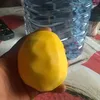nantoikato