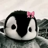 fan_11oo