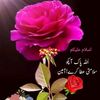 hamzaamjad7321