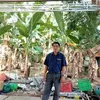 nguyn.vn.v766