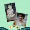 mr.prawit2518
