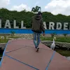 gecoolcamelpounya
