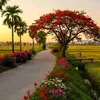 thanhtong831994