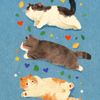 cat.love795