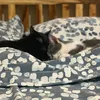 meow20217