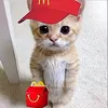 henar_siege