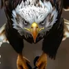 alizaker32