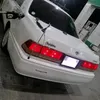 ekgb8c