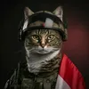 kamuch77