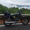 goodvidd135