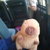 mike_seide