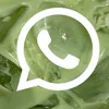 whatsapp_historias