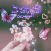 amlhn77