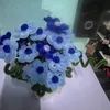 kerophoy_30