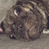 random_content_4u_backup