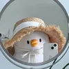 vit_ri.viu