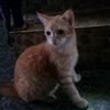 monica_097