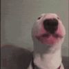 juliuscarmona8