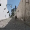 kalefpaucar3