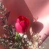 fnft8