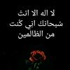 elsayedmohamed9086