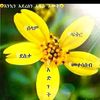 adamiyzosh1
