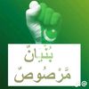 pmln_lions786