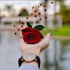 ghamdi1234