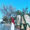 lchangvungtau