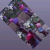 pweddy_tashboo