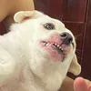 mimienth