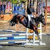 mane_event_equestrian