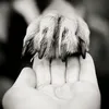 ayren.0709