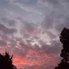 __jasminrose
